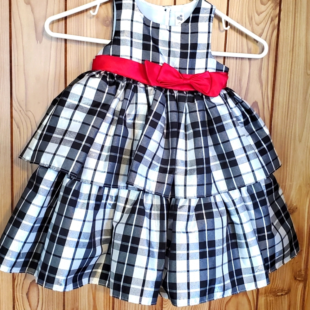 Beautiful NwT 3T Dress
